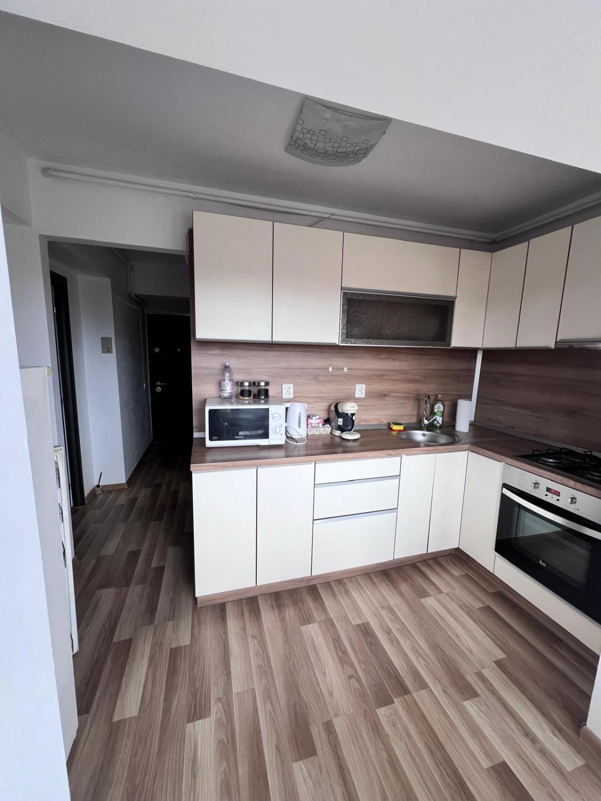 Chindia Apartament 特尔戈维什泰 外观 照片